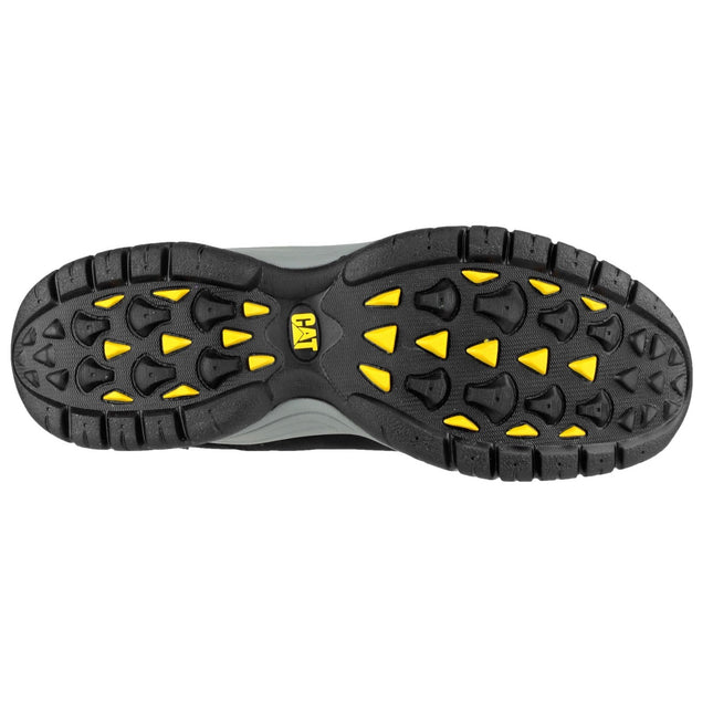 Moor Trainer