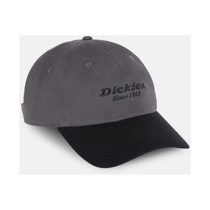 Everyday Dickies Twill Cotton  Cap