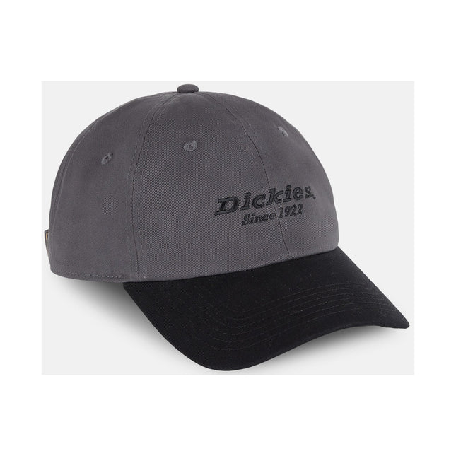 Everyday Dickies Twill Cotton  Cap